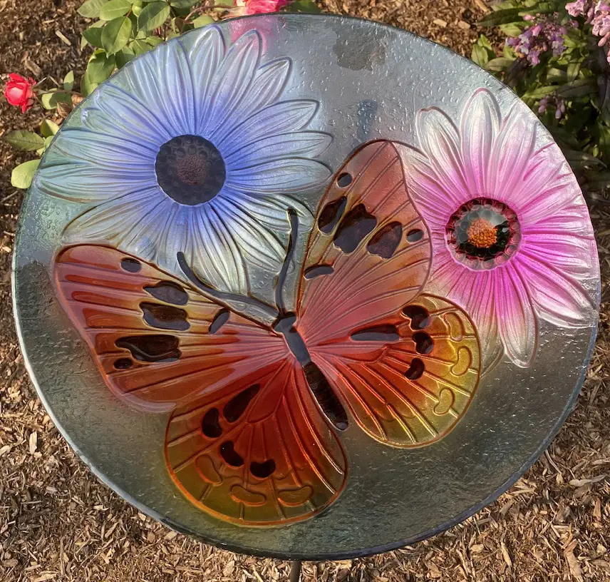 butterfly basin